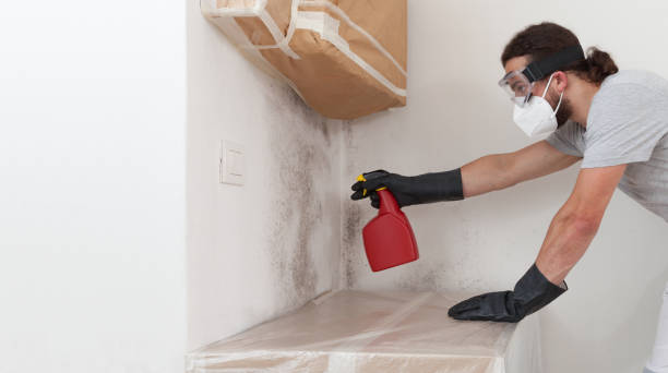 Professional Bathroom Mold Removal technician working in Harrison, NY