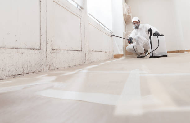 24/7 Emergency Bathroom Mold Removal experts in Harrison, NY